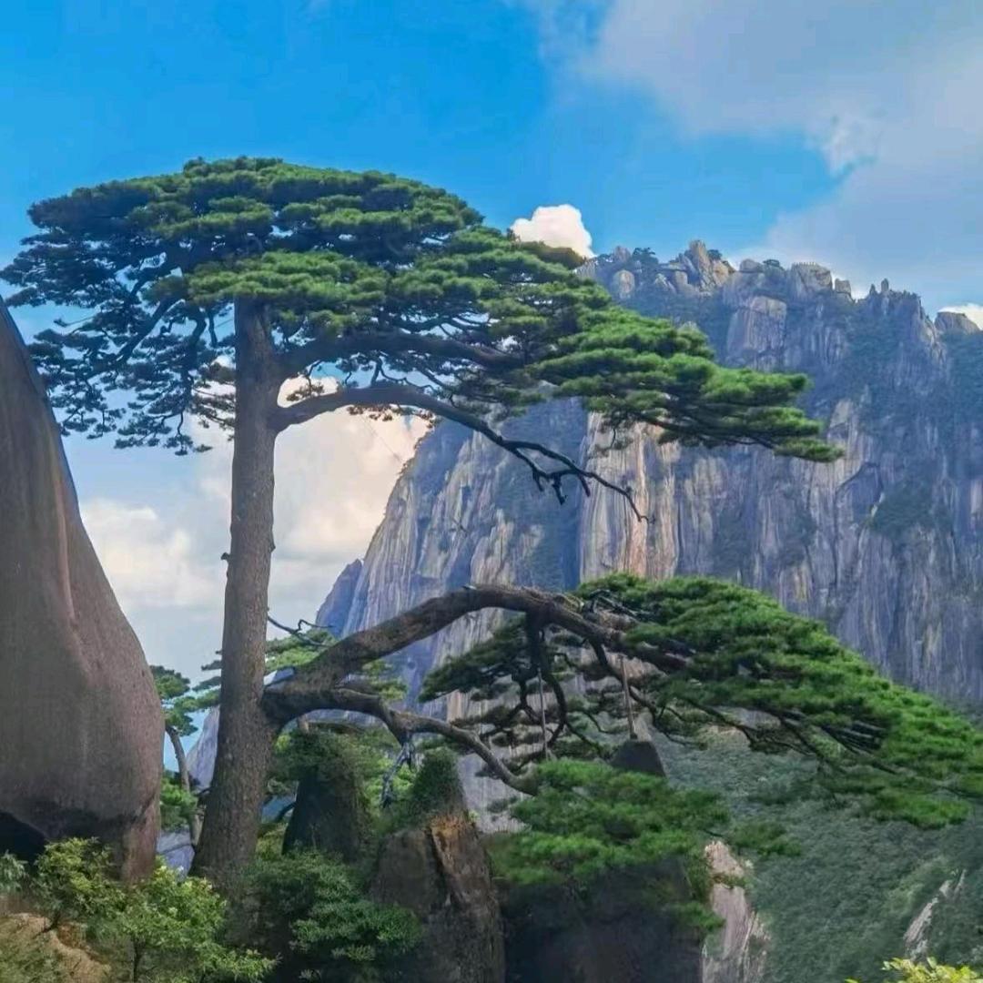 （嗯嗯）