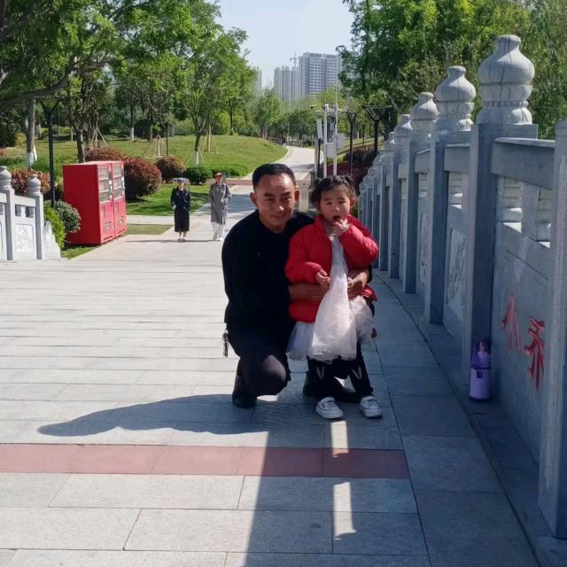 豫东之星