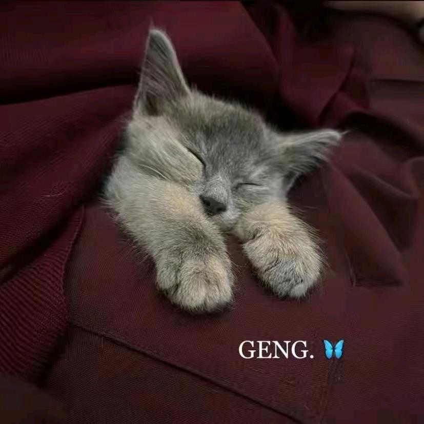 🥷🏿桑陪💪💪