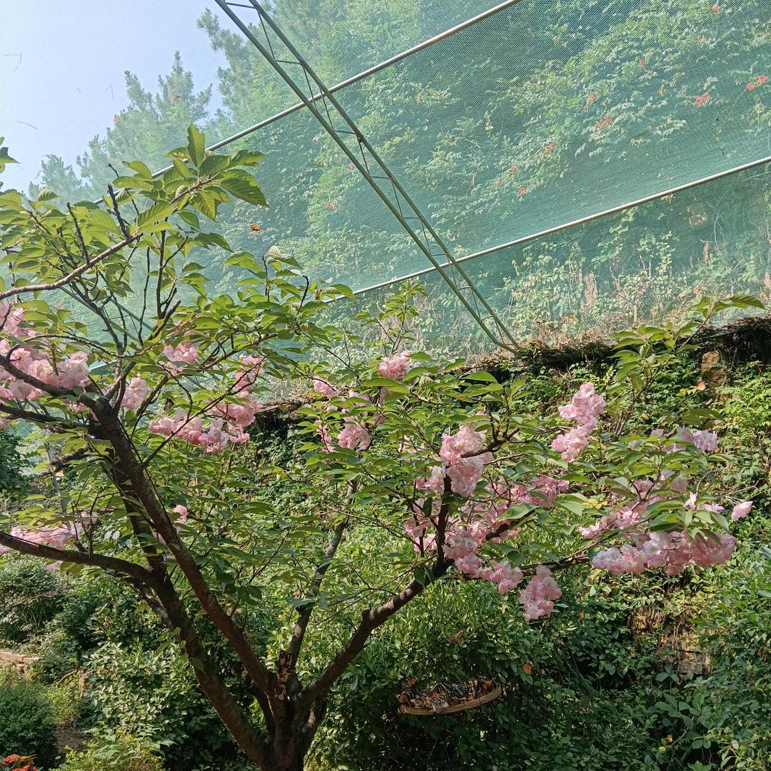 老板电器