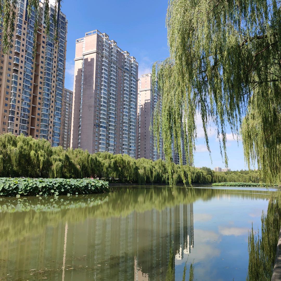 蓝莓***有评论和赞尽量回