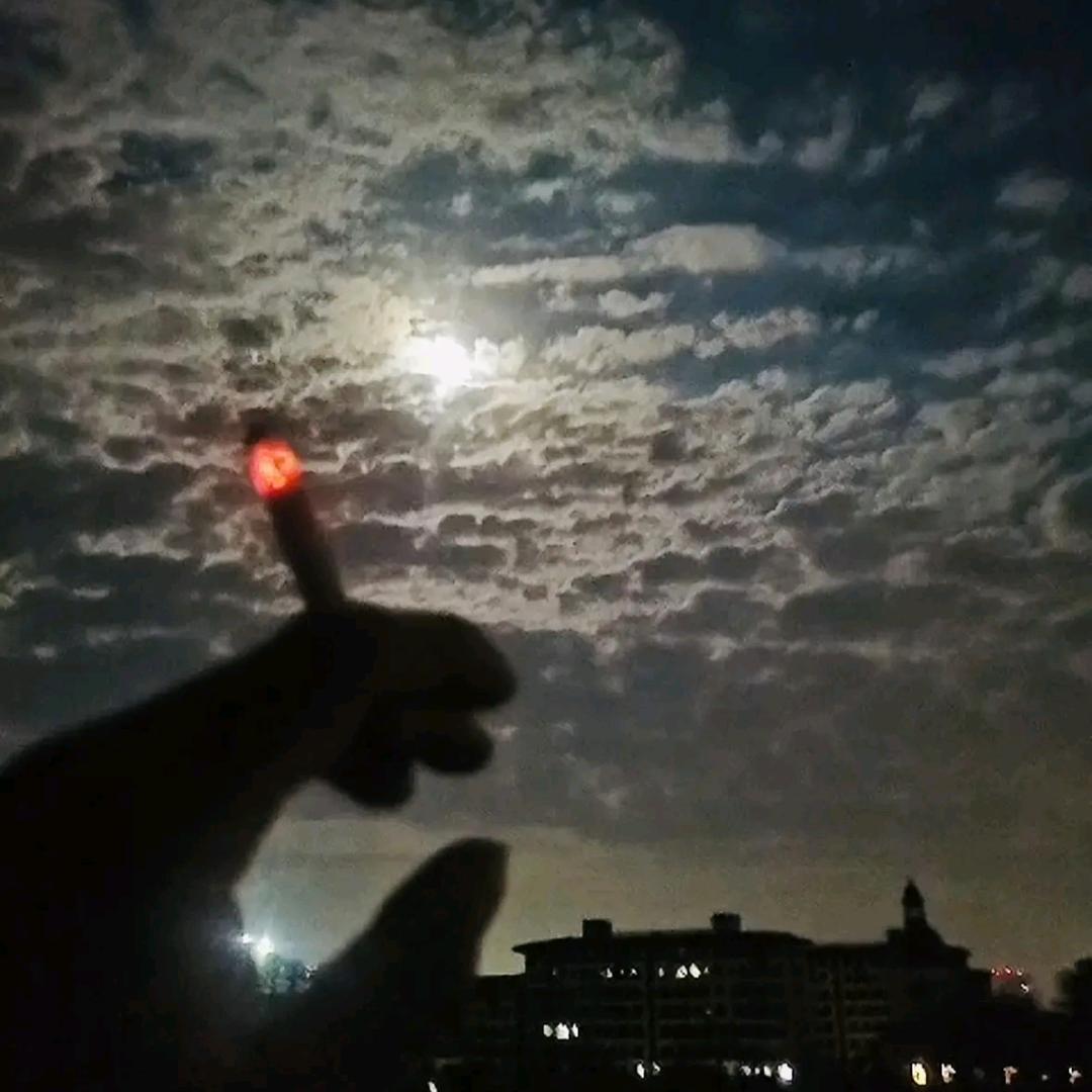 南方小土豆