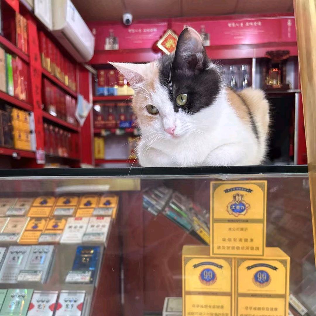 琦薇小店01号员工