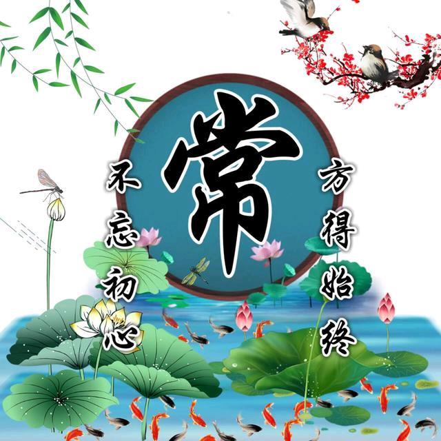 会飞的石头