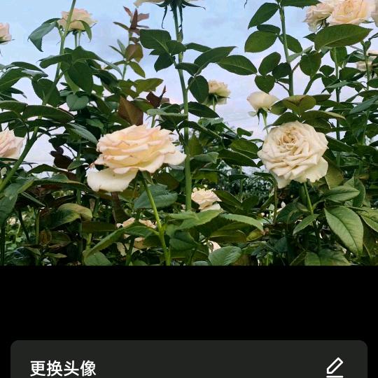用户末有读