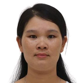 广西边境百年紫油桂