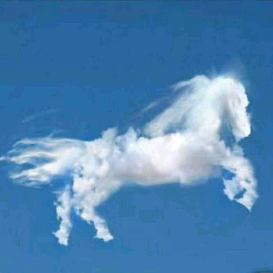 刘师傅（爱心达人）0969