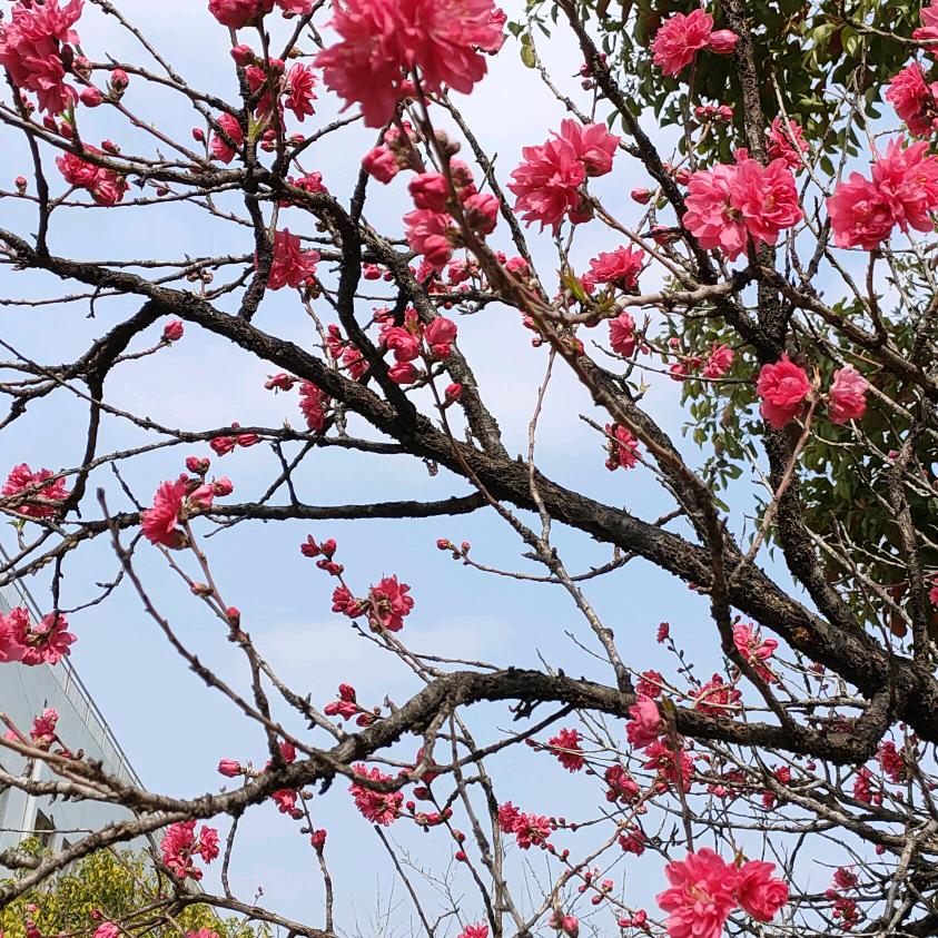轮回