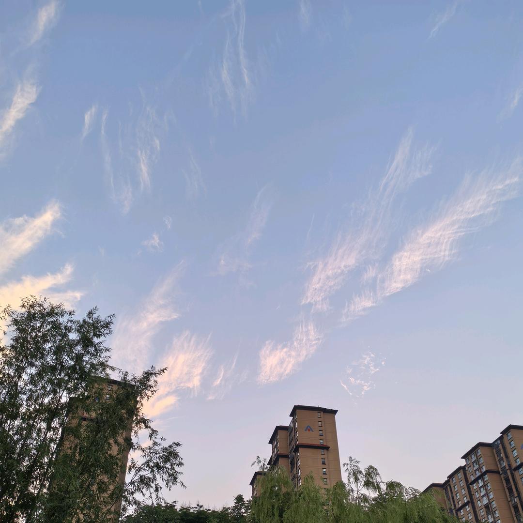 梦想