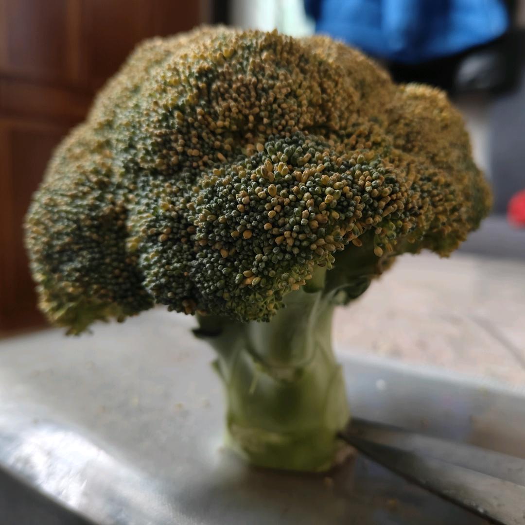 嗨你好陌生人