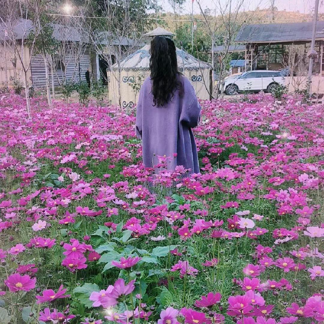 ：꧁ღ幸运🌹꧂