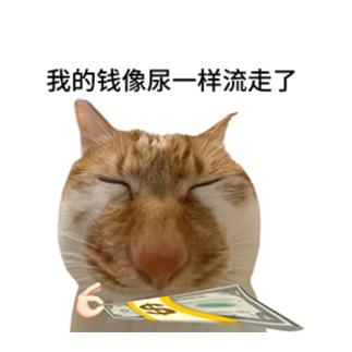 小绵羊