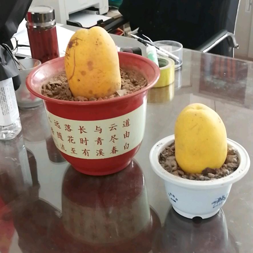 云海之巅