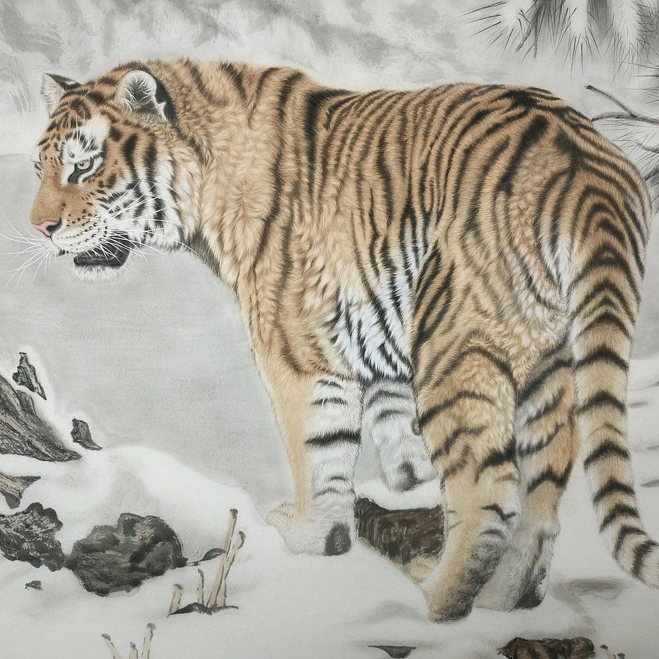 虎里虎气🐯（丽虎助力号）