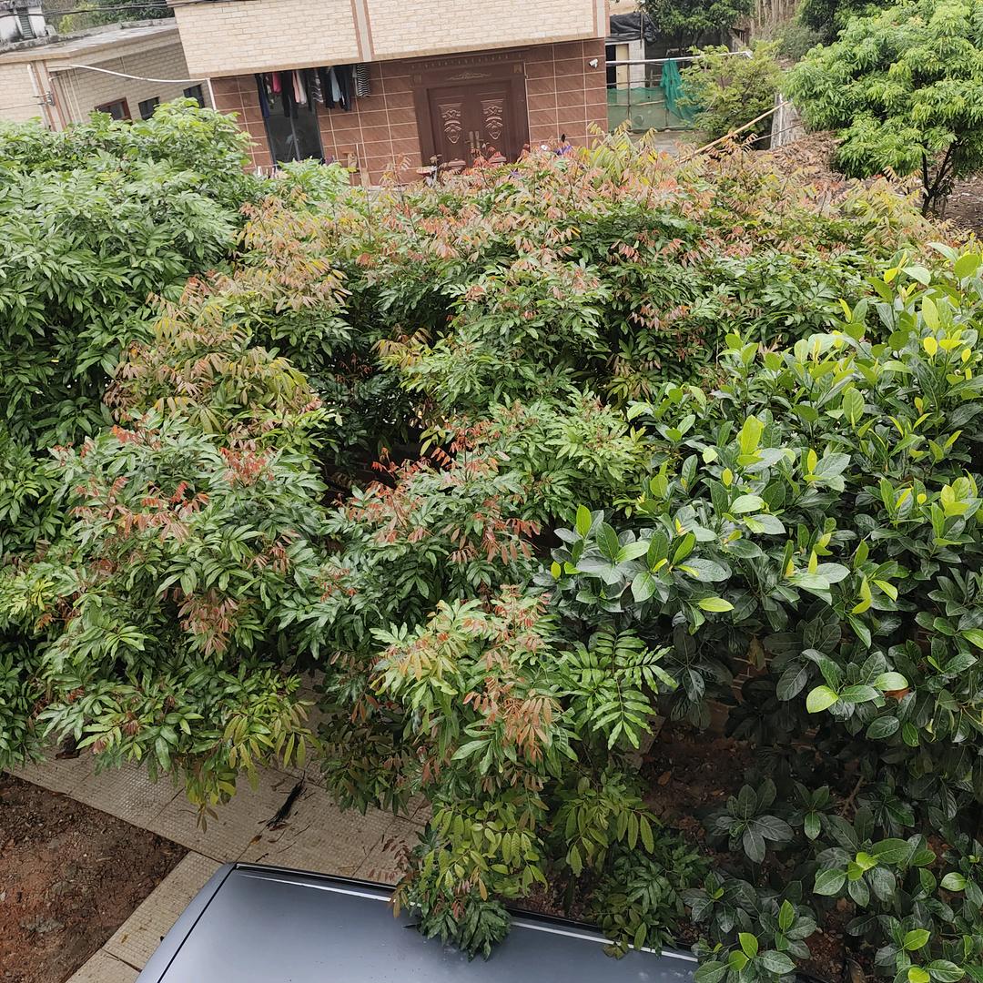 风☁️随雨飘
