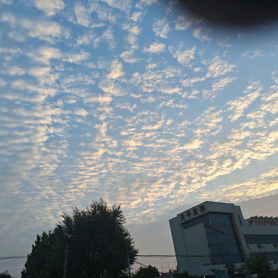 看世界
