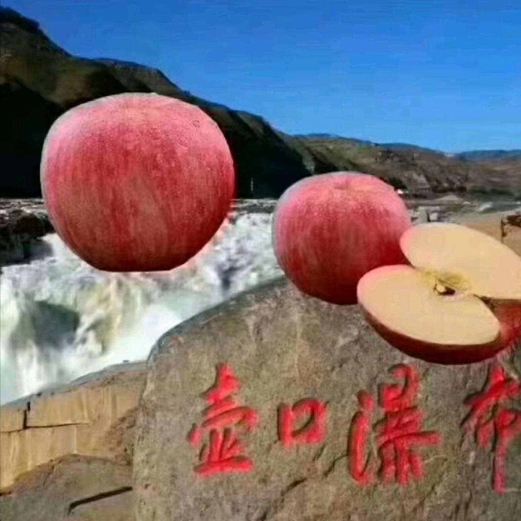 吉县小王苹果🍎有限公司