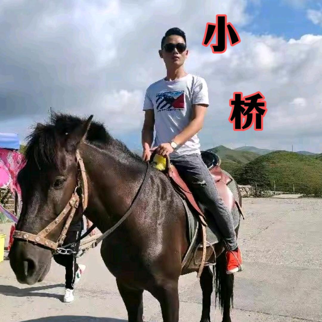 通城小桥 通城机动车驾驶培训