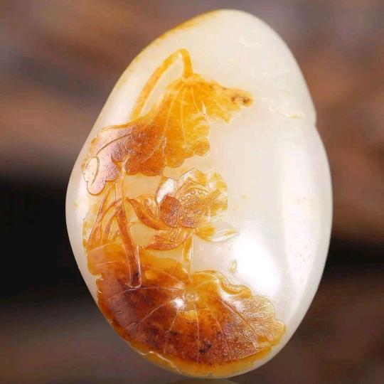 玉鸠—玉鸠阁文化艺术工作室