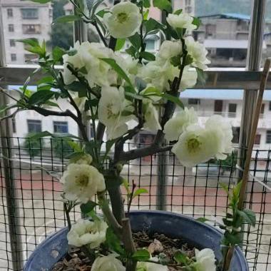 十指☆紧扣