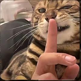 黑到极致亦是白