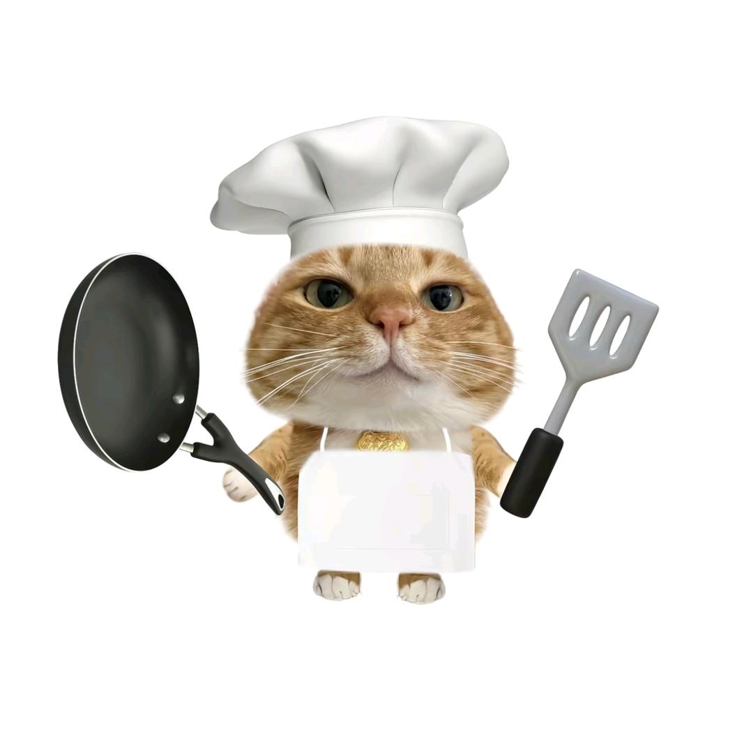 厨师豪猫