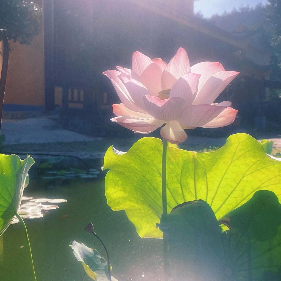 付英杰