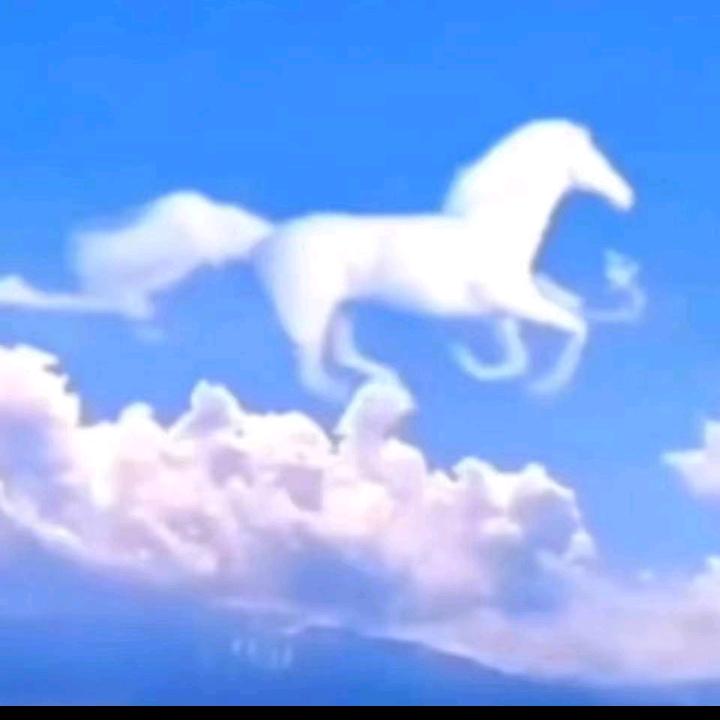 阿克淘男神