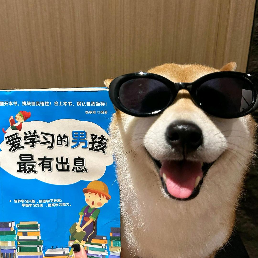 敢敢（上岸版）