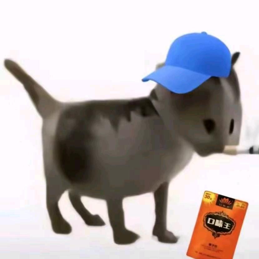 观南