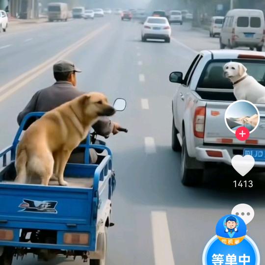 舞的风格你学不来！