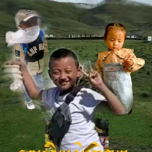 👉旦增👈