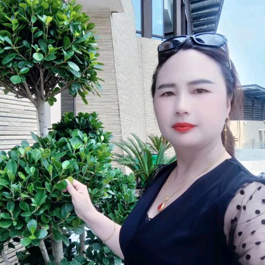 💖王💞姐💖