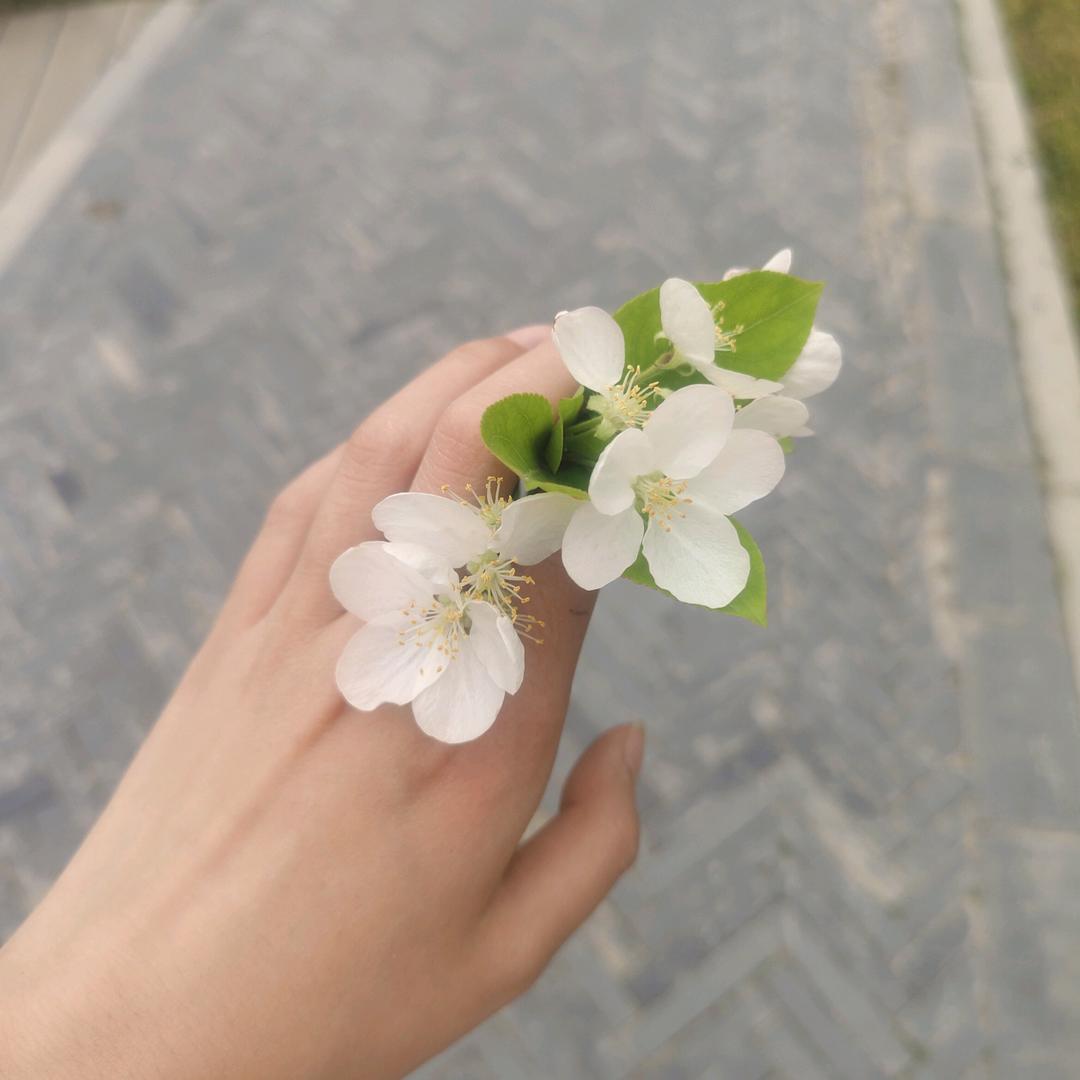 豆芽菜🌸