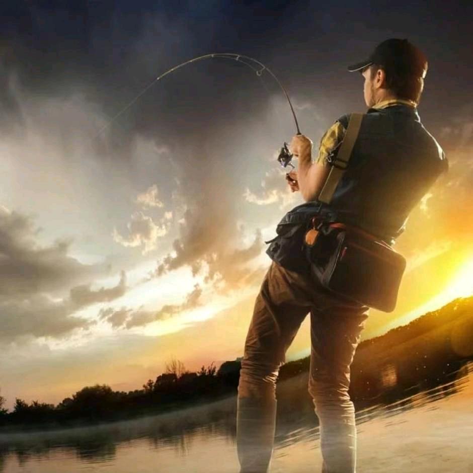 VIGOR-FISHING