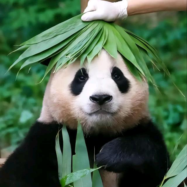浮生若梦，为欢几何