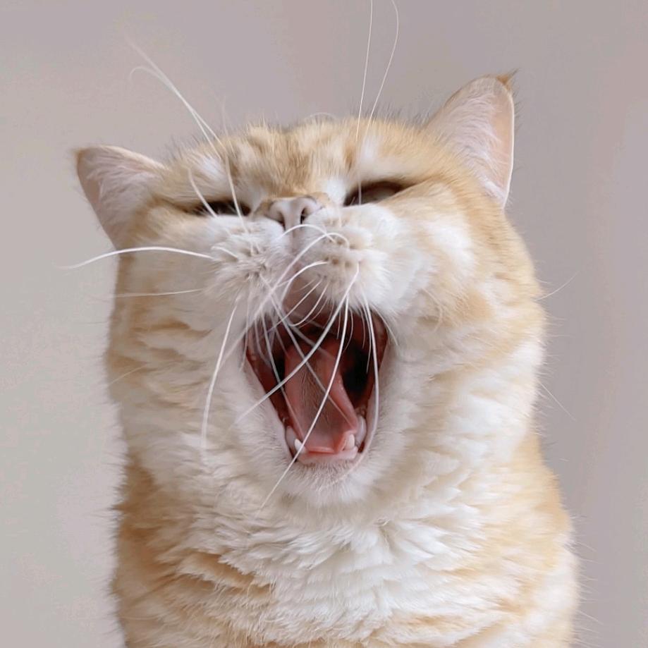 陈小虎又双叒圆了