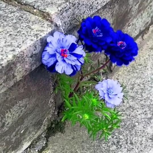 幸福追着我跑。