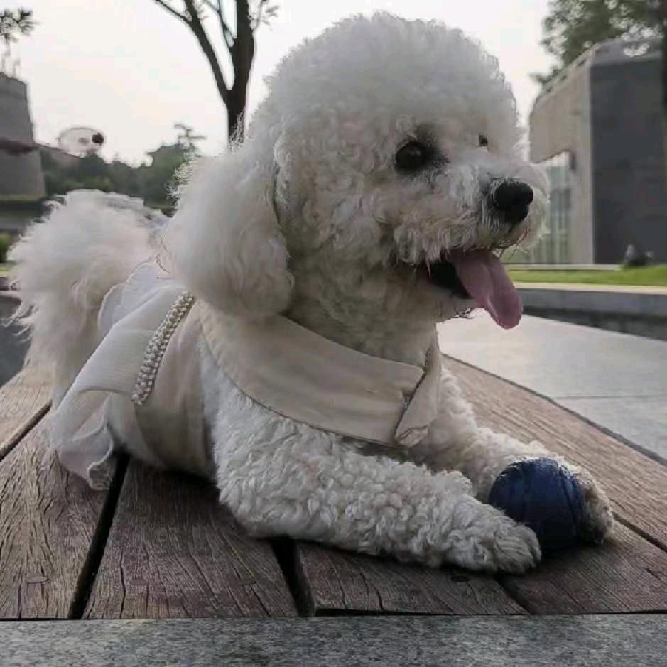 曾经的爱一笔勾销