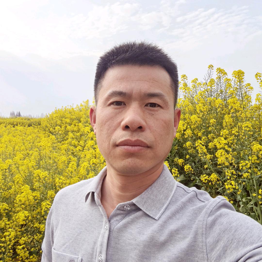 老舟哥在搬砖