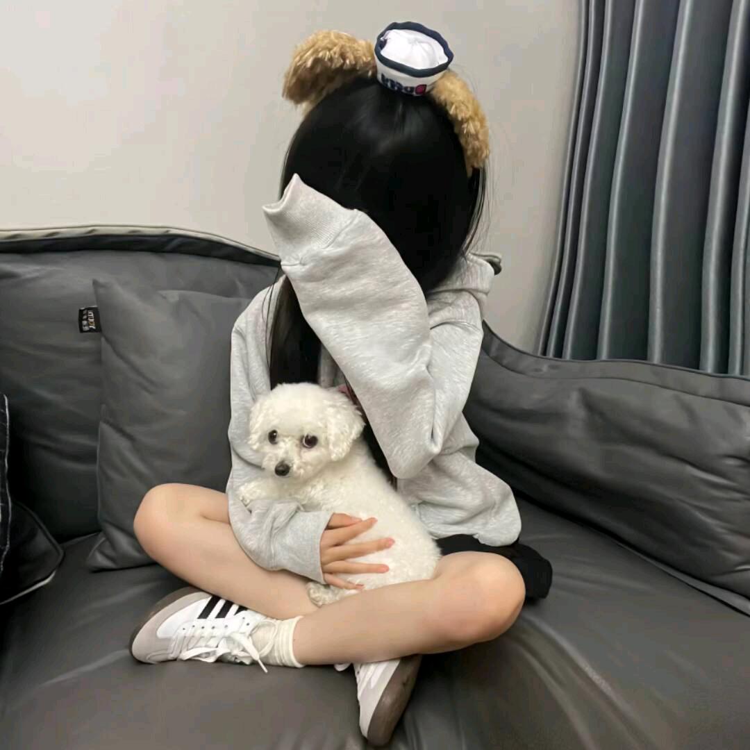 呆呆