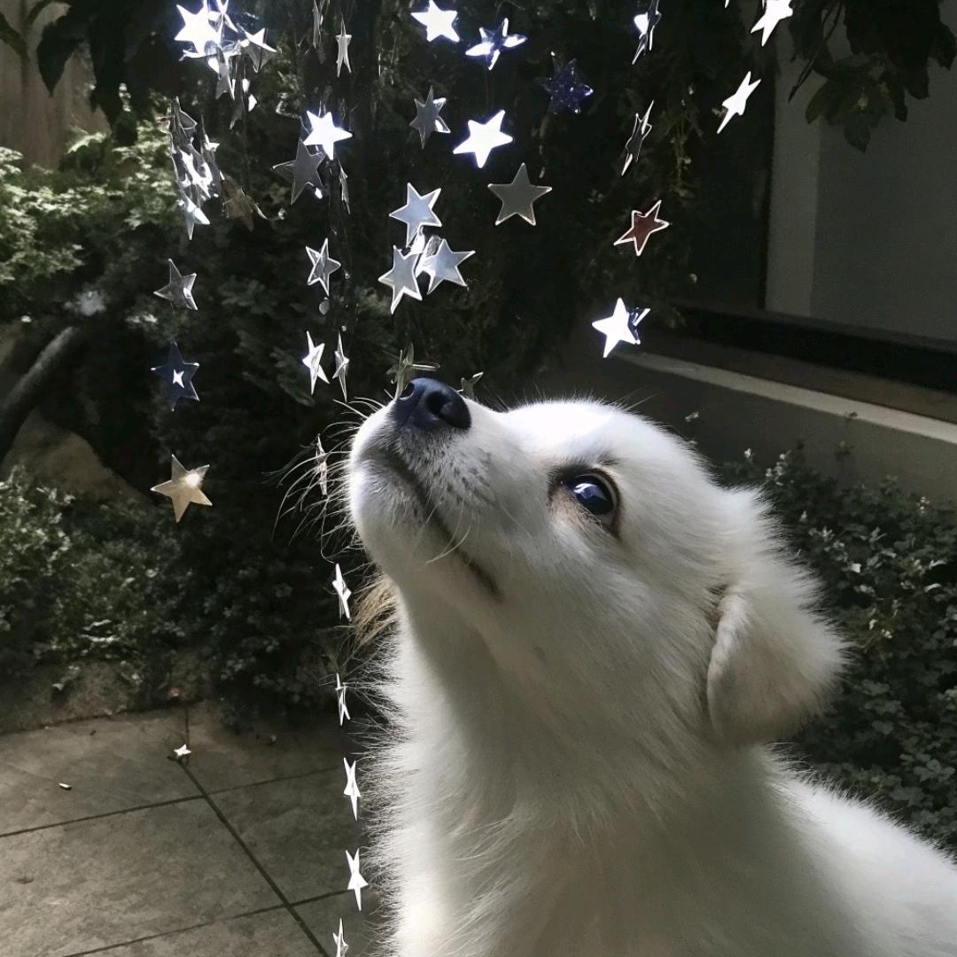 小葵❄️