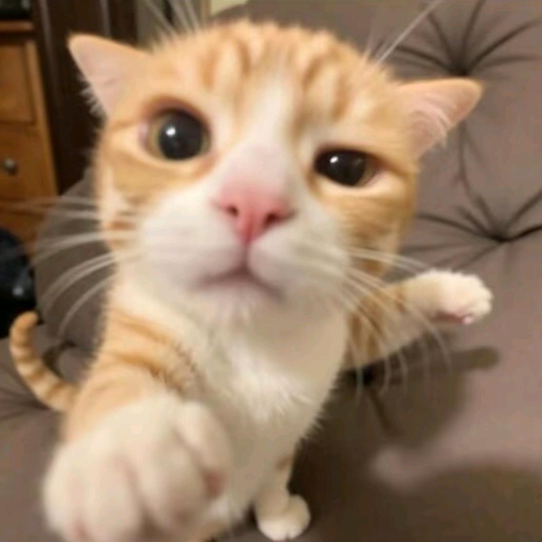 山竹