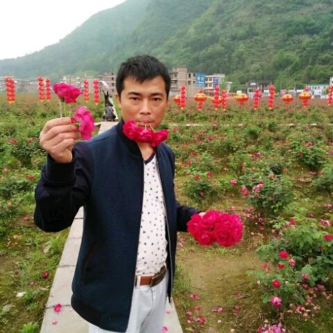 一根筋