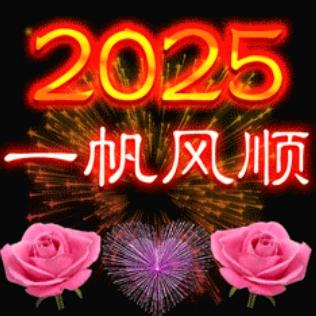 李JIe：不依赖不期待