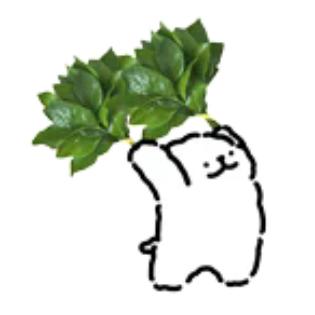 哈基敏