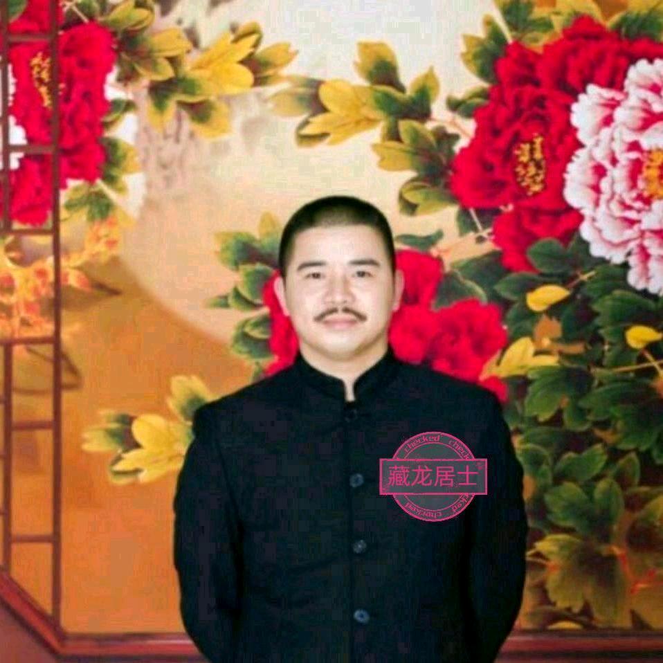 藏龙居士评日