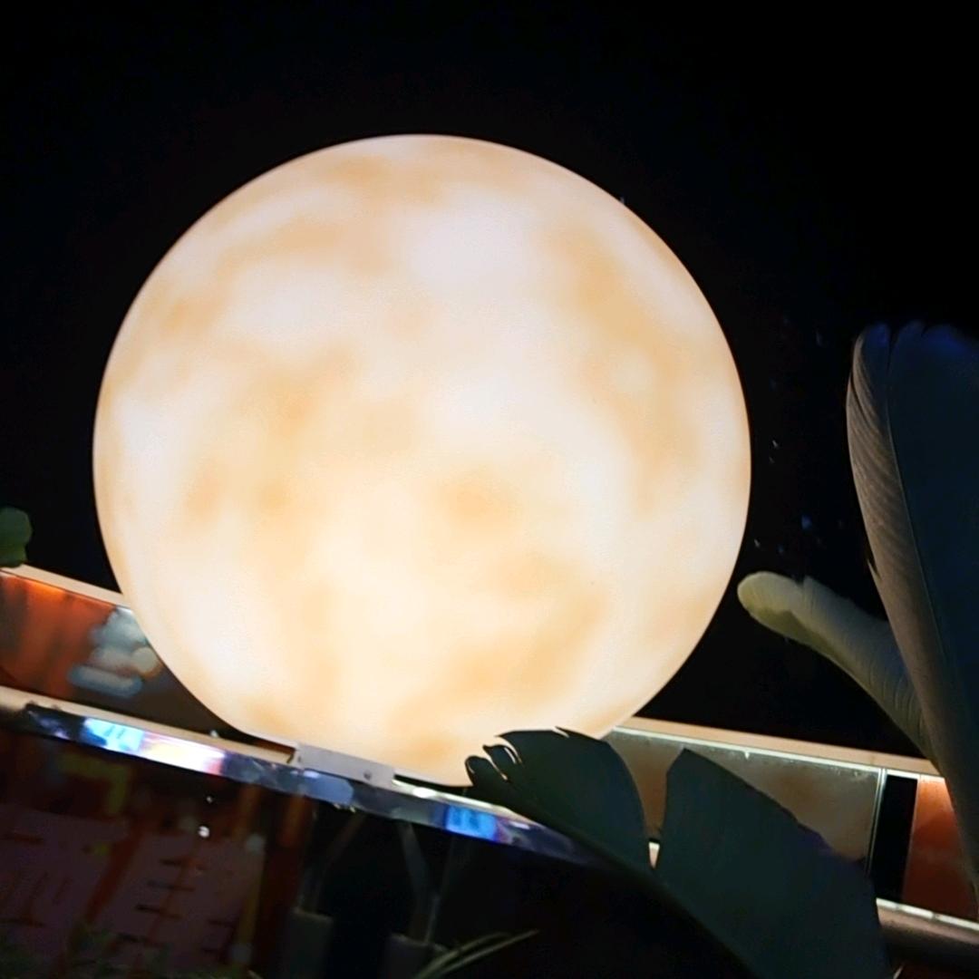 ( っ'-')╮ 心🈶林ξ