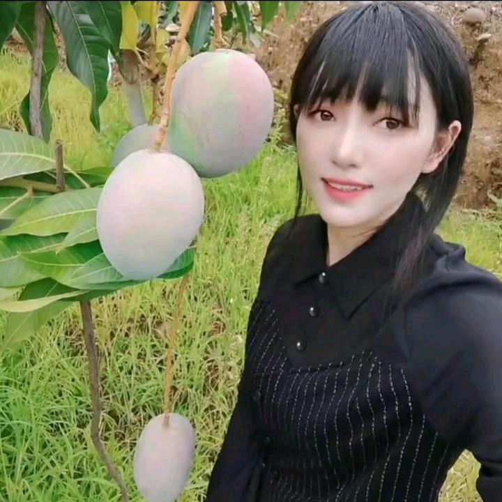 甜甜圈