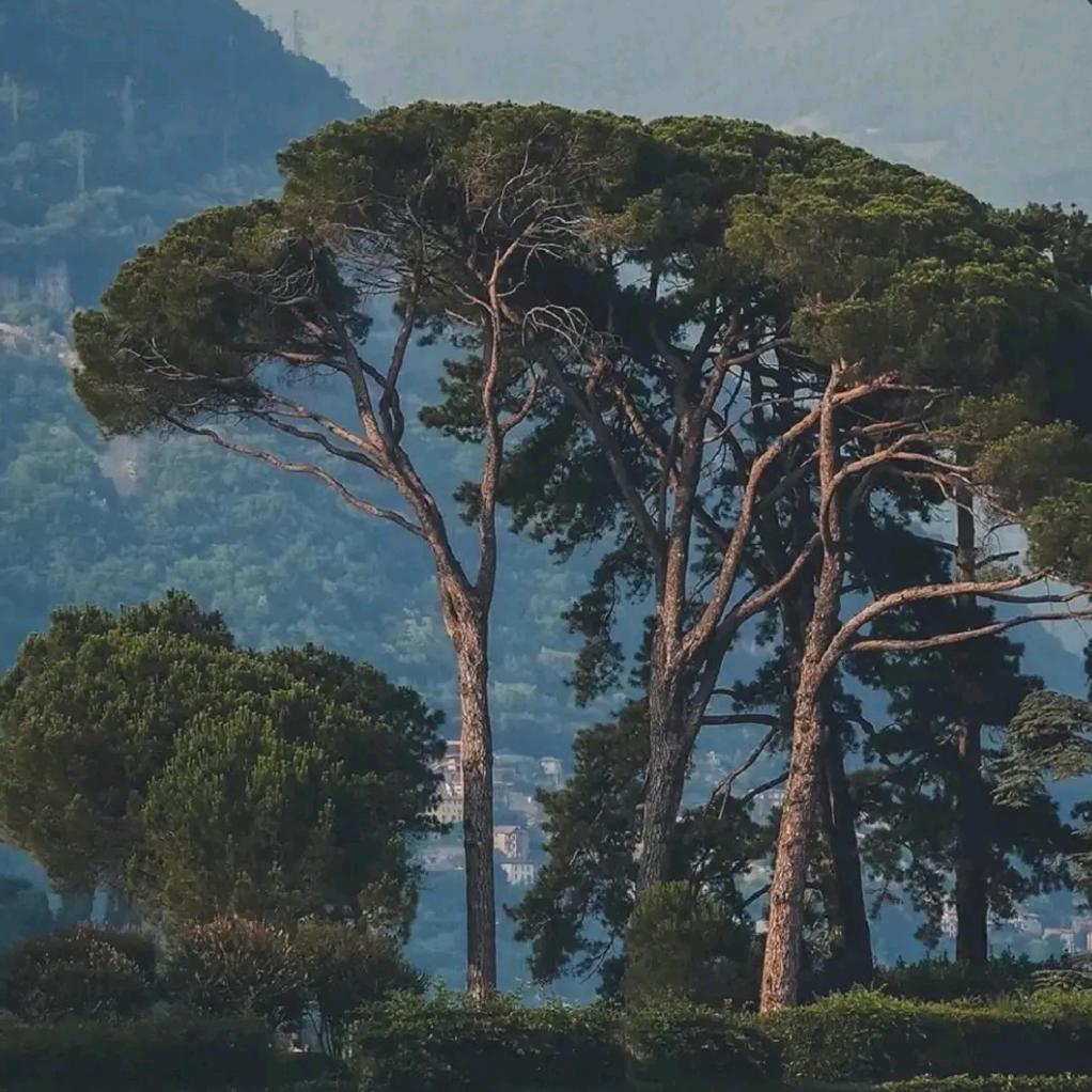 勤政